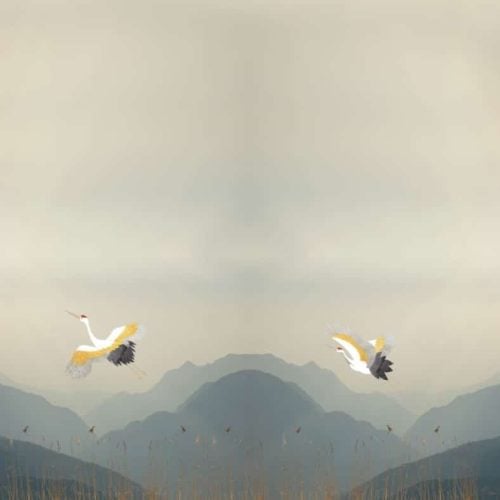 Trikotaažpaneel sookured 200x150cm digital print