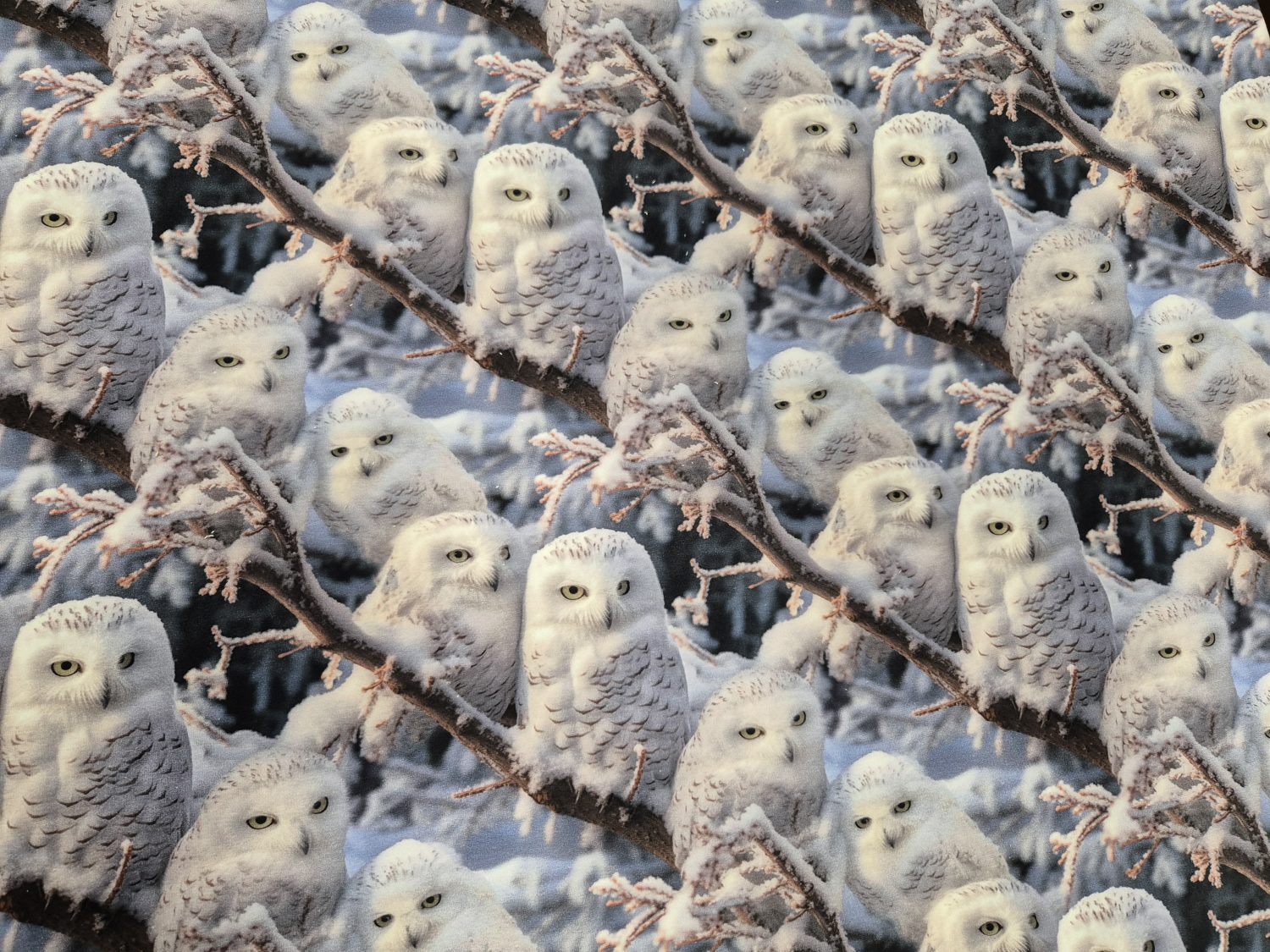 Trikotaaž öökullid ja talv digital print