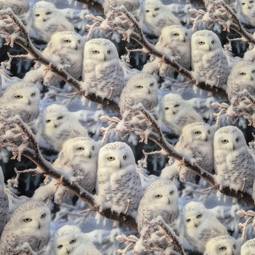 Dressikangas öökullid ja talv digital print