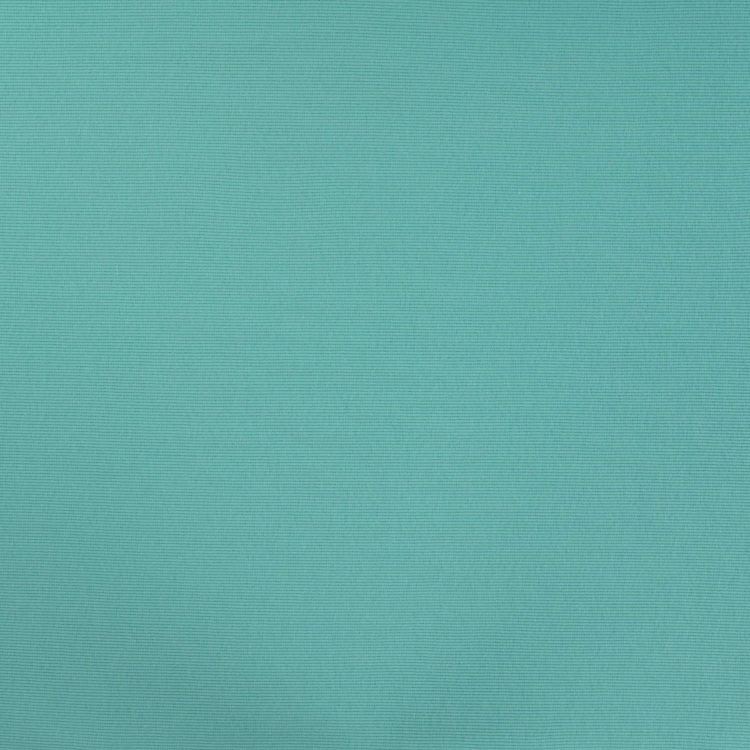 Ribiline torusoonik 2x1 tiffany - Image 2