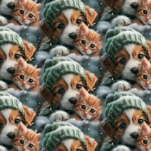 Trikotaaž kutsikas mütsiga ja oranž kiisu digital print