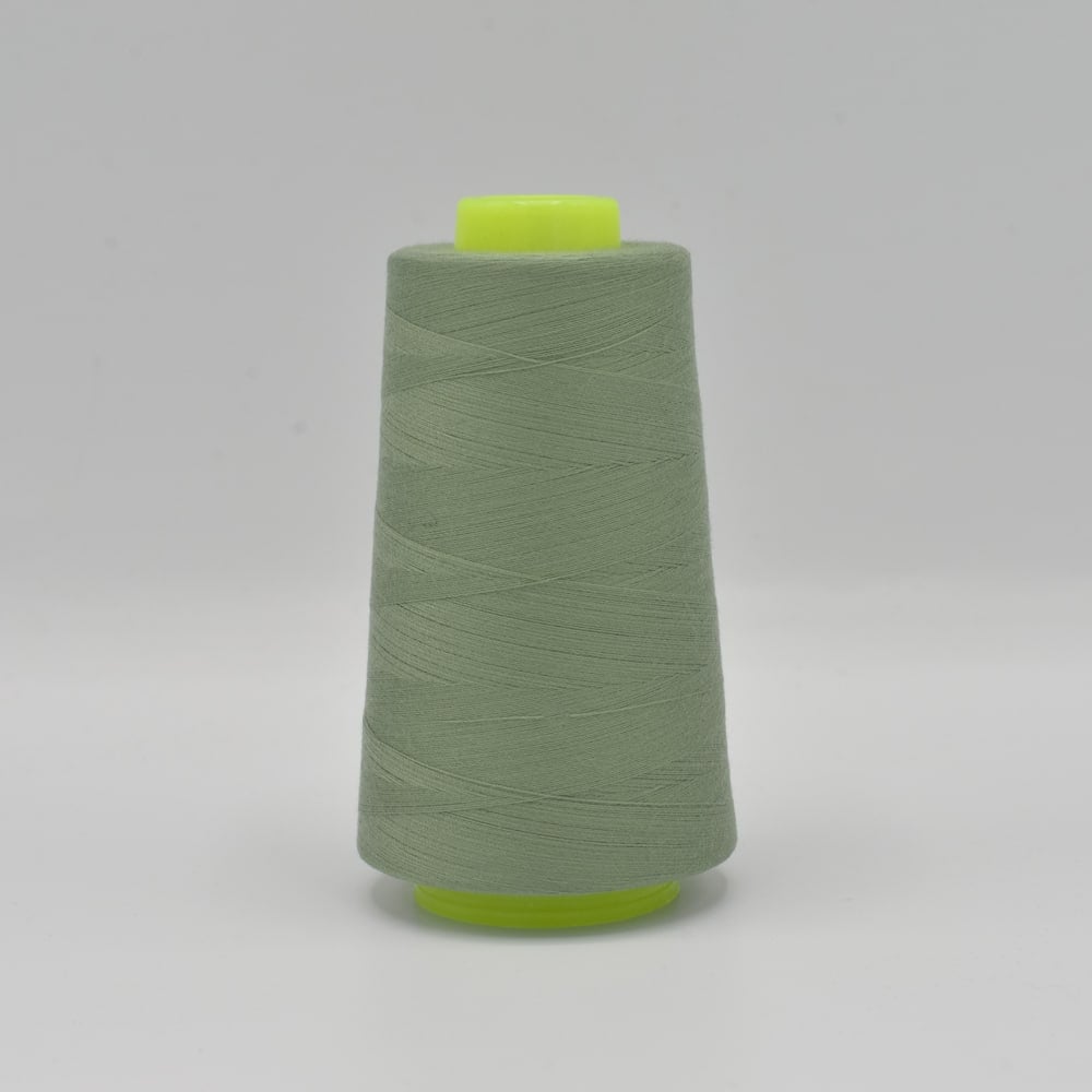 Overloki niit 3000 yd: tuhm mint